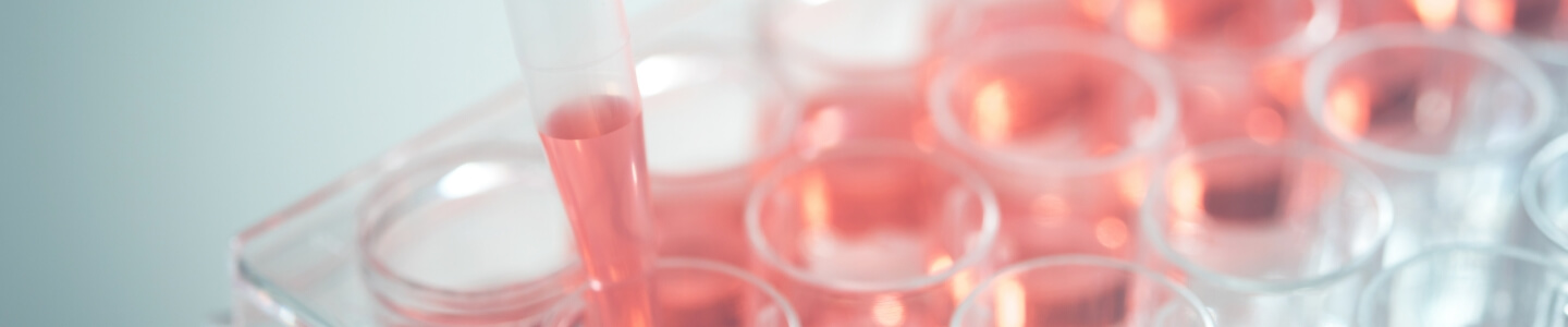 独自の製造・栽培方法